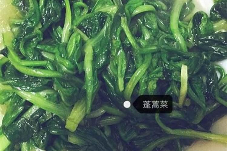 多肉如何分株叶插