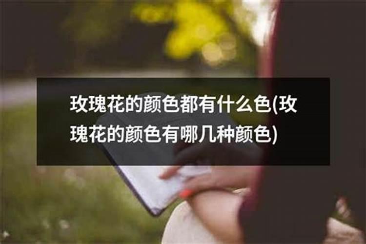 玫瑰花种植需要注意什么