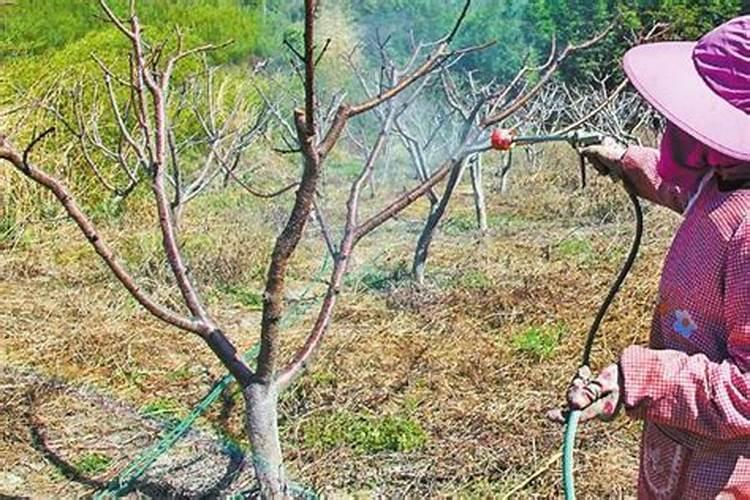 如何有效的让苹果上色