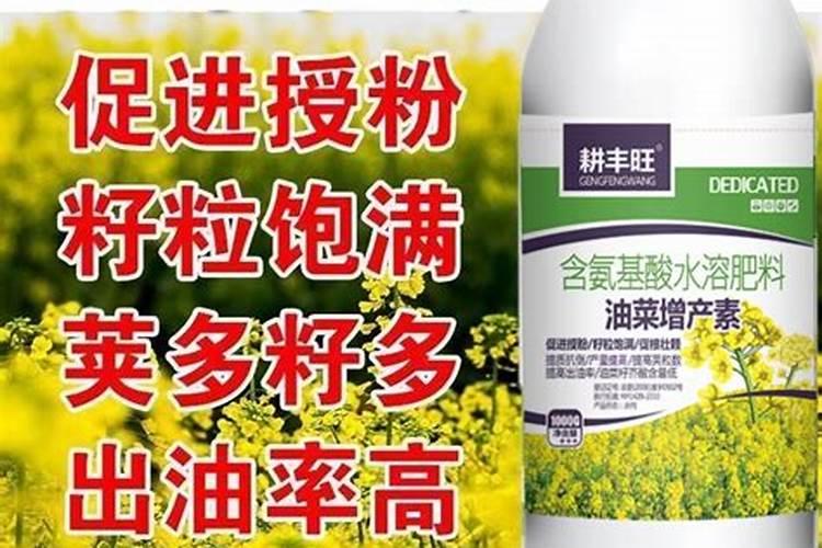 番茄转色不好,什么原因