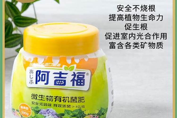 红薯后期如何施肥