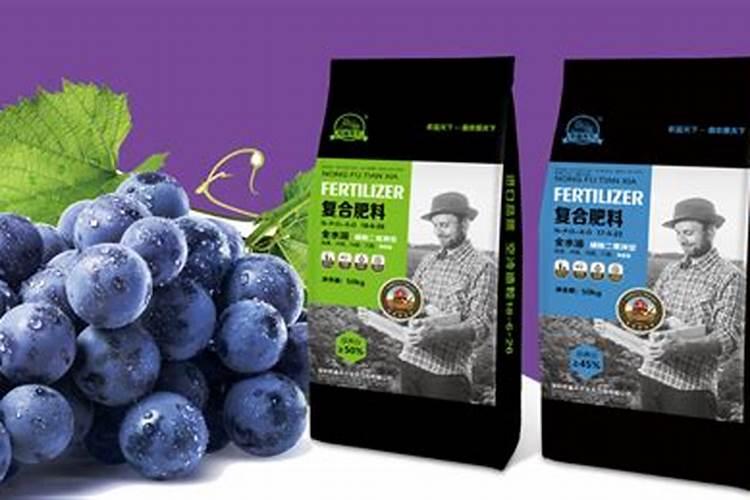 冬瓜苗移植后多少天可以施肥