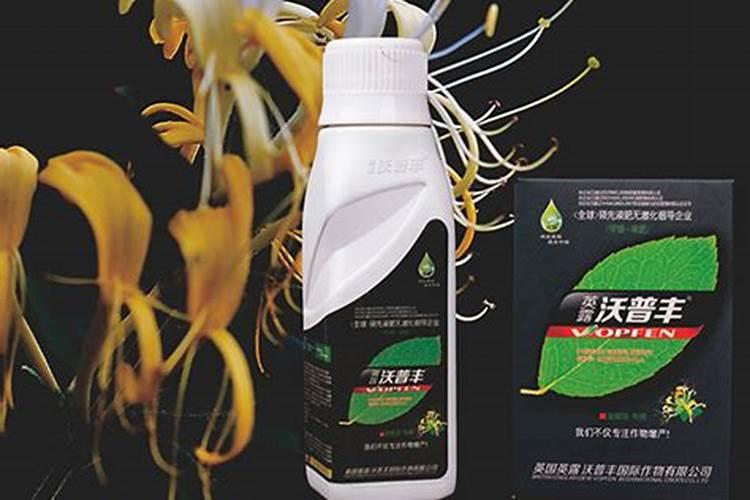 金银花怎么浇水施肥好金银花浇水施肥的方法