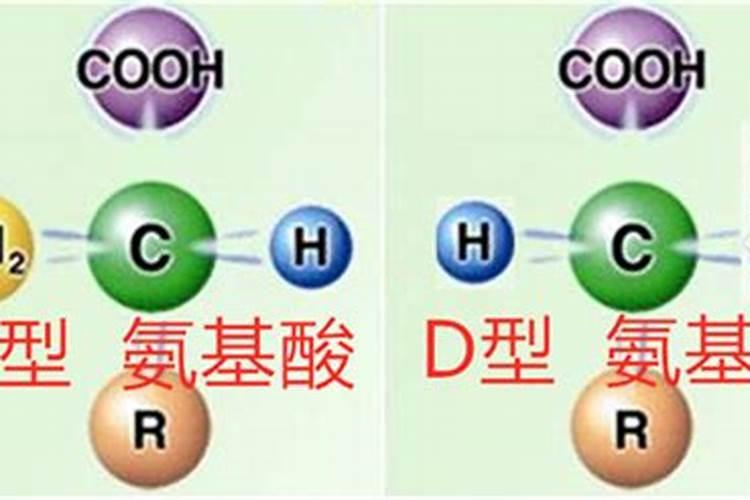 硫酸钾复合肥十大名牌