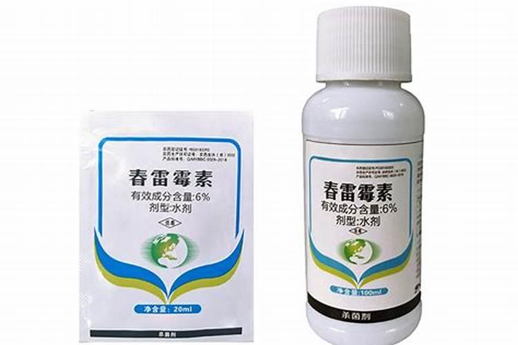 请问生菜软腐病怎么用药