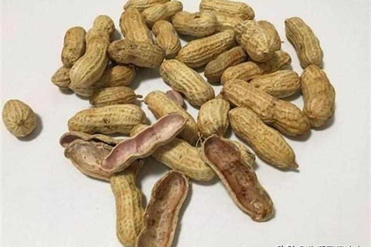 熟花生壳可以做肥料吗