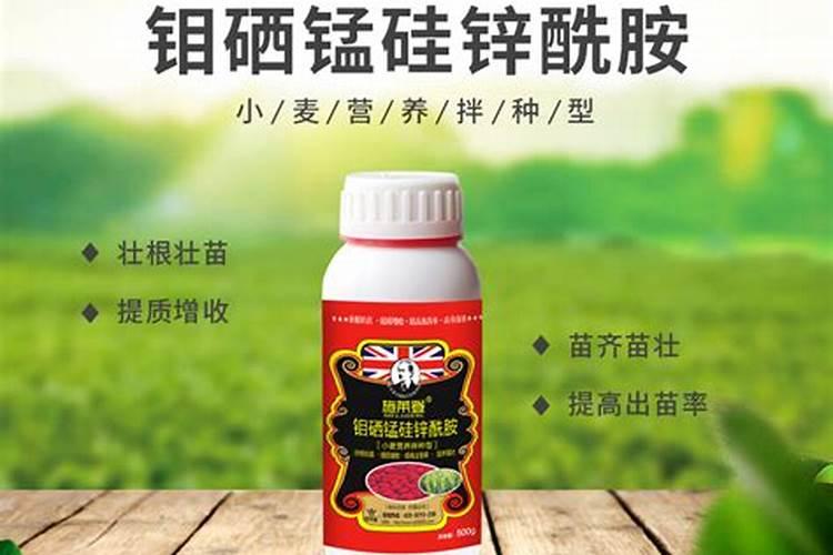 西红柿的种植用什么肥料好