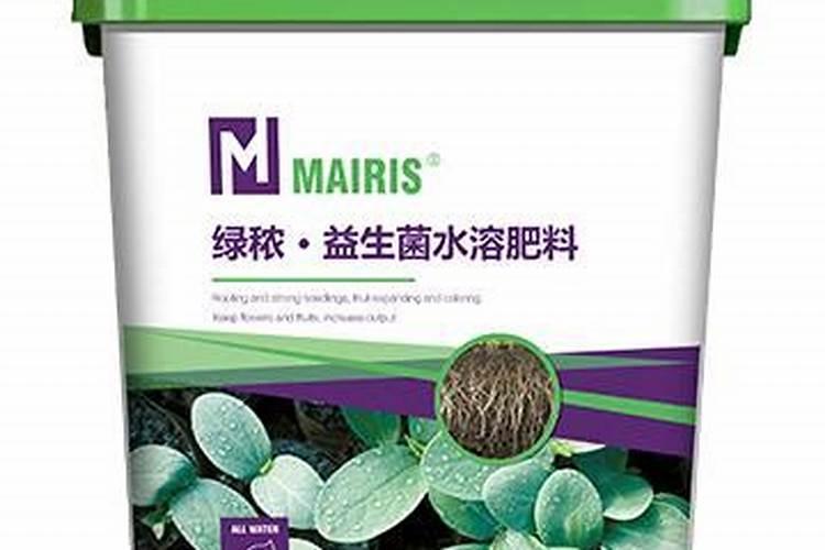大烟什么时侯种植最好