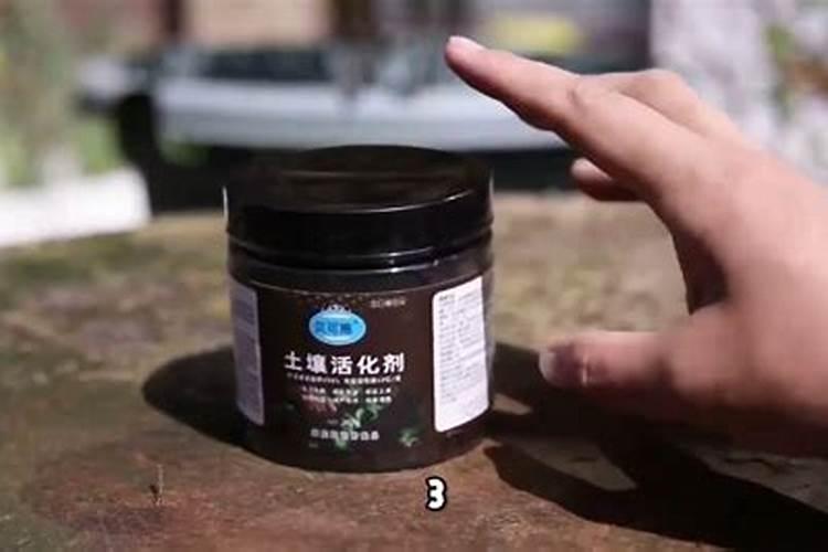 果树缺钙用什么肥料最适合(果树需补什么钙肥最好)