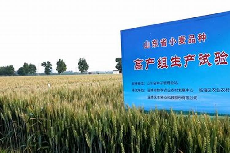 钾肥一亩地上多少 关于钾肥的信息简介