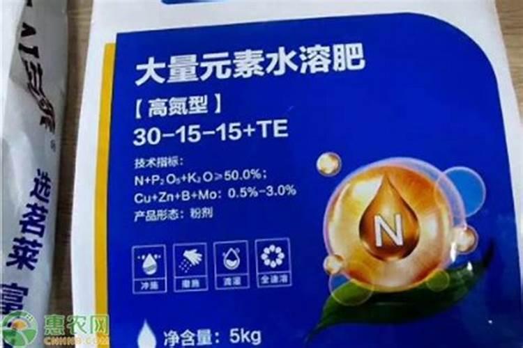 多肉春天怎么养