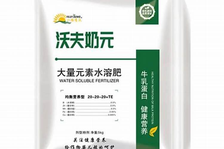 水里加什么绿萝会疯长水养绿萝加什么东西长得旺盛