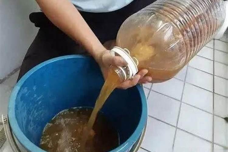 氮肥的吸收转化过程