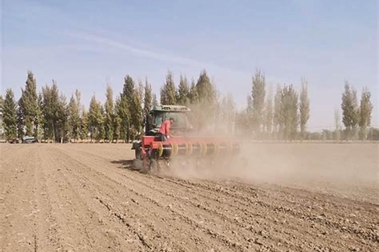 氯化钾是什么 是什么是什么