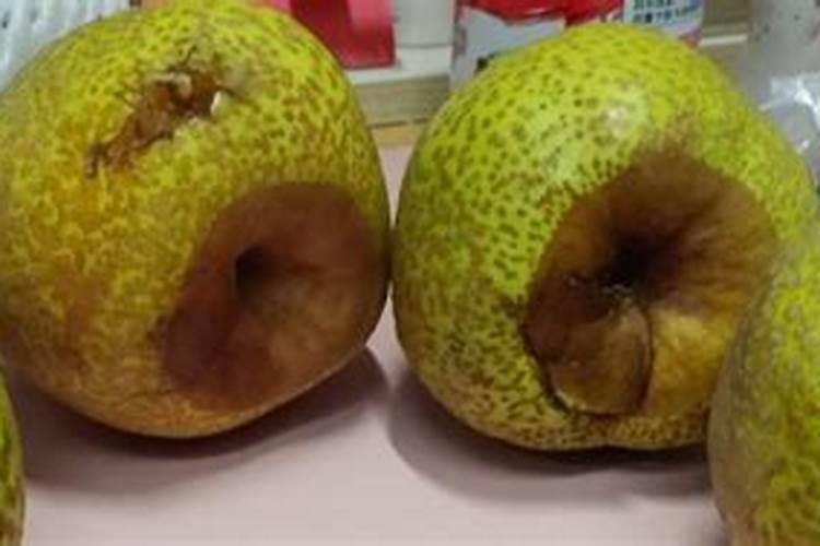 梨子皮和核可以发酵做花肥吗？