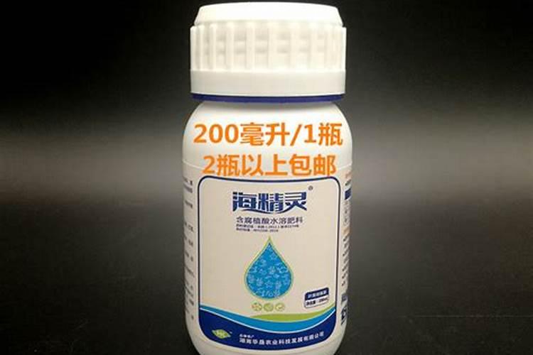 刚种的花种子需要天天浇水吗