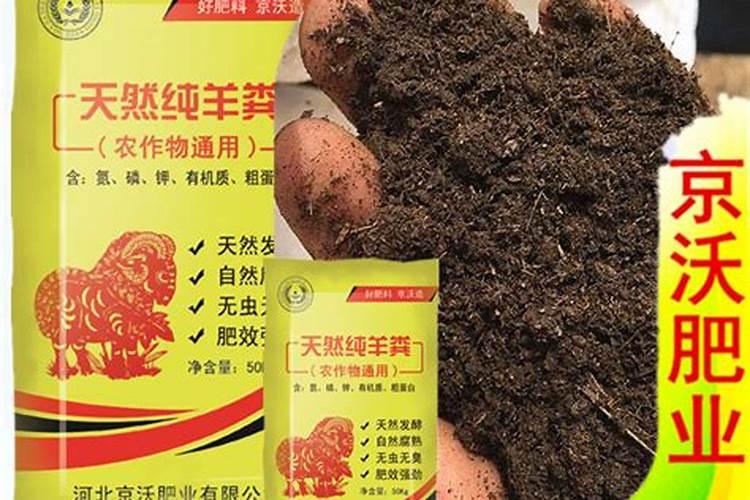 矿源黄腐酸钾能用在茶树上吗？