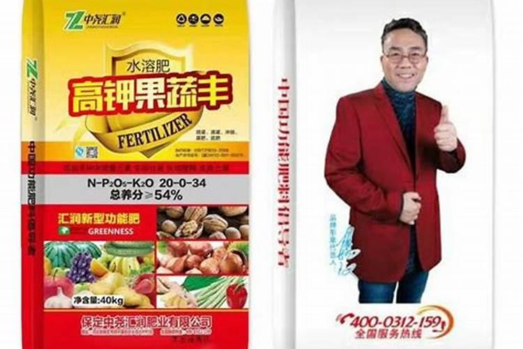 洋葱苗什么时候移栽好 移栽方法是什么