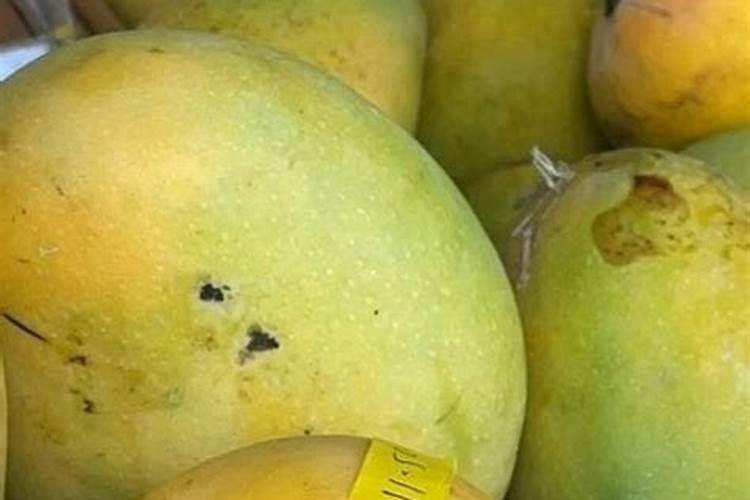 在云南有机肥销路怎么样