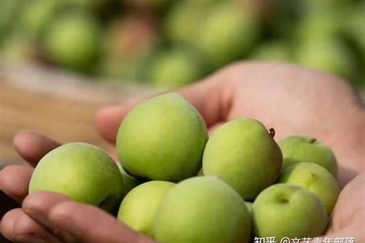 请问下,叶面肥,悬浮剂,水剂,乳油,可湿性粉剂的混配顺序是什么百度知 ...
