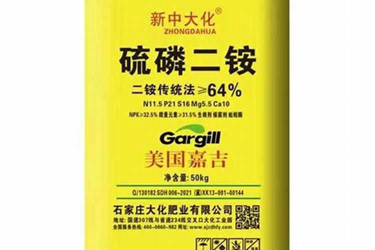 棕榈树叶子有毒吗