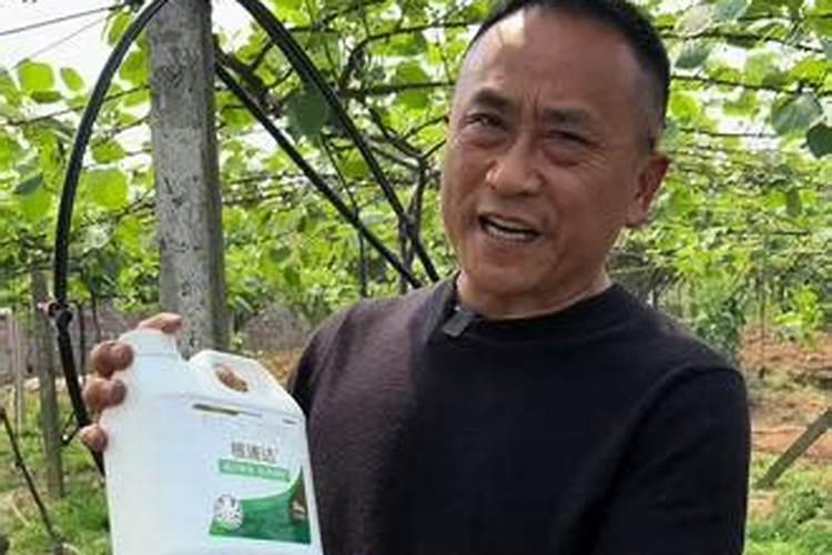 芸苔素内酯使用方法与用量