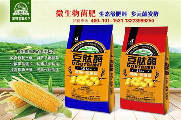 山东尿素生产厂家