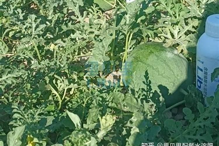 “壬二酸”护肤成分界的多面手