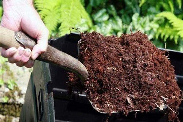 种菜养花买什么肥料好