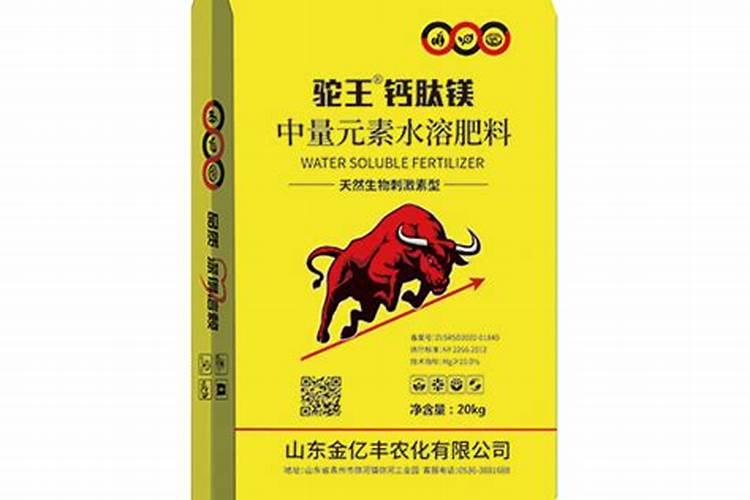 怎么种植青枣具体方法有哪些？