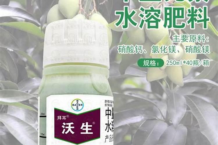 施什么肥白菜长的最茂盛