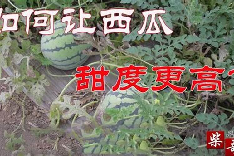 水溶复合肥在西瓜什么阶段使用？