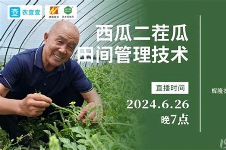 西瓜怎么施肥