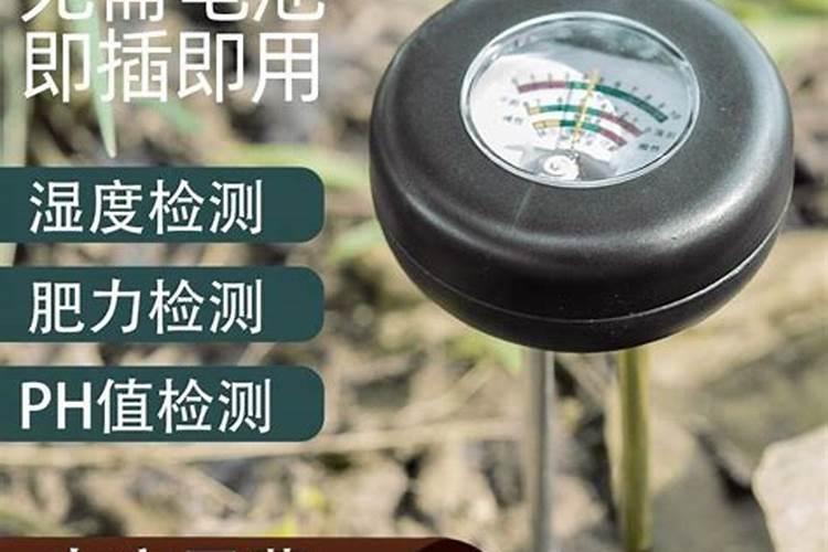 百合浇什么肥最好