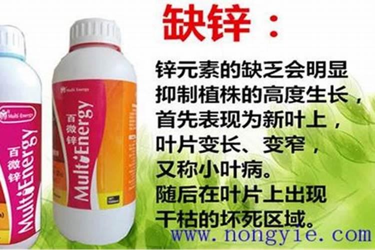 秋季果园不宜施用的肥料,施肥原则,注意事项