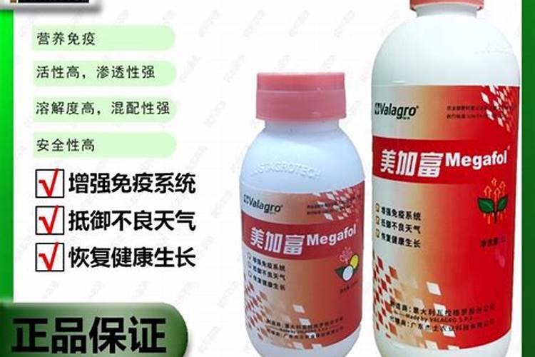 磷肥怎么使用