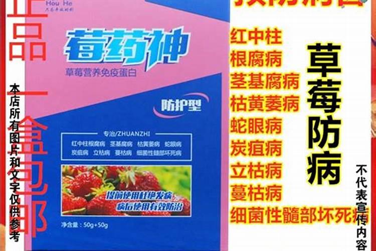 有机肥料多少钱一斤