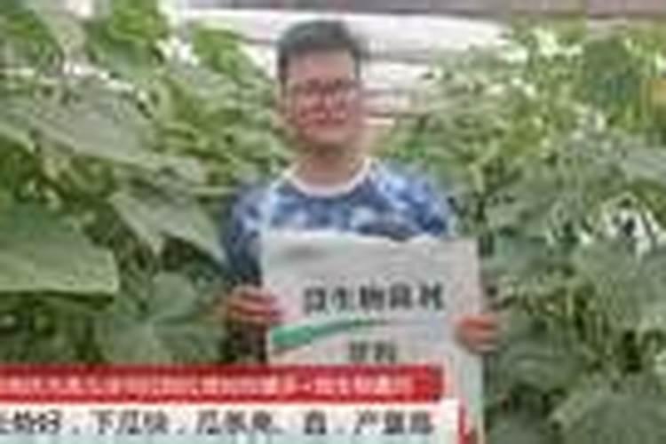 玉米金大棒水溶肥多少钱一瓶