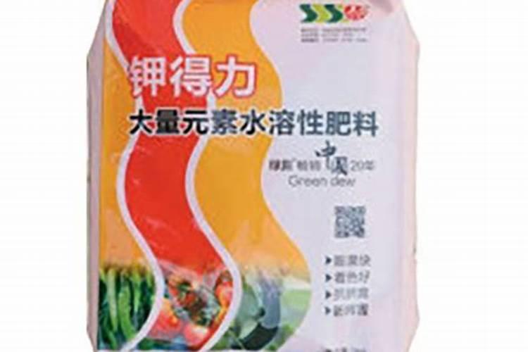 兰花茎腐病、根腐病、软腐病、黑腐病的区别和防治措施