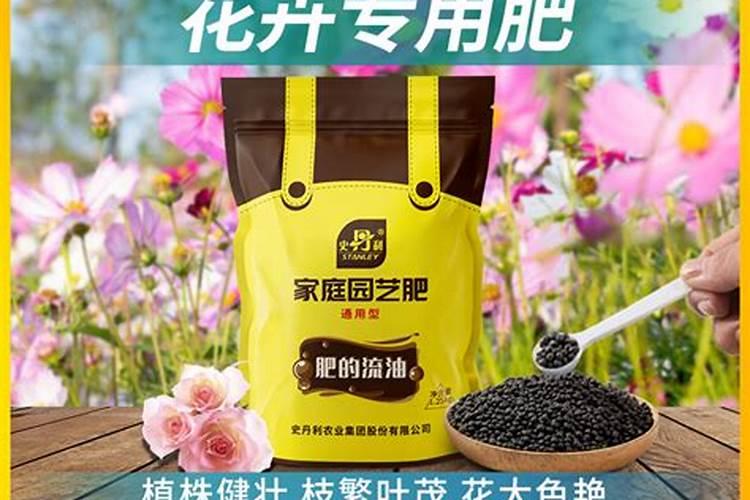 烟台嘉特海藻肥怎么样暖棚番茄冲施肥