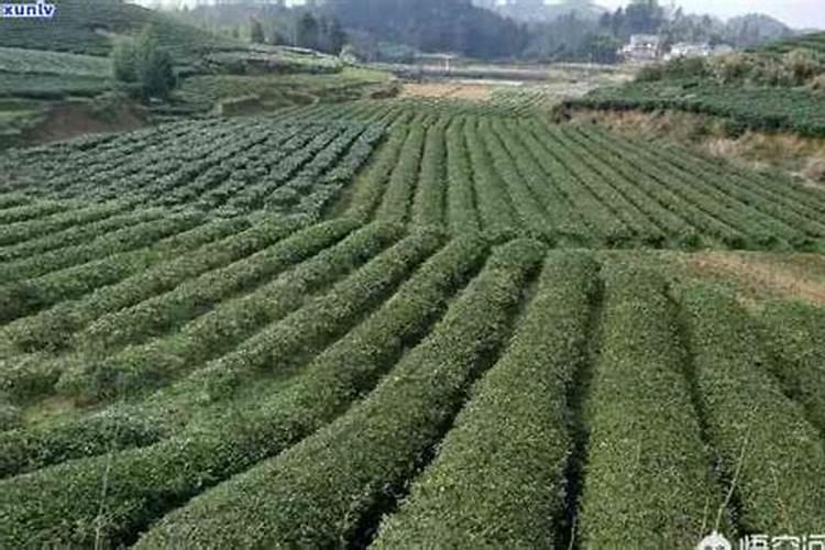 有机肥氮磷钾国家标准是多少