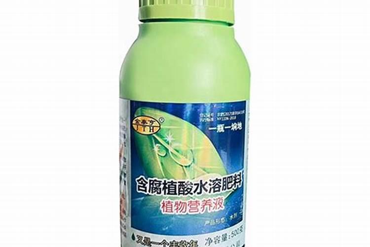 葡萄苗怎么种植才不会死