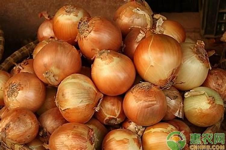 观叶植物用什么肥料好