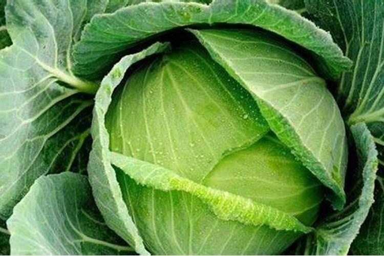 磷肥全磷和有效磷的区别