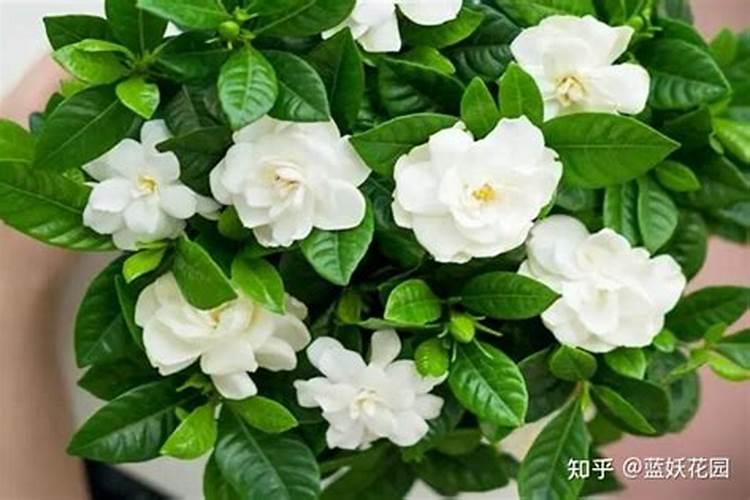 塑料袋制品生产厂家