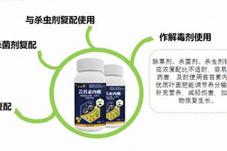 平安树真的能带来平安吗