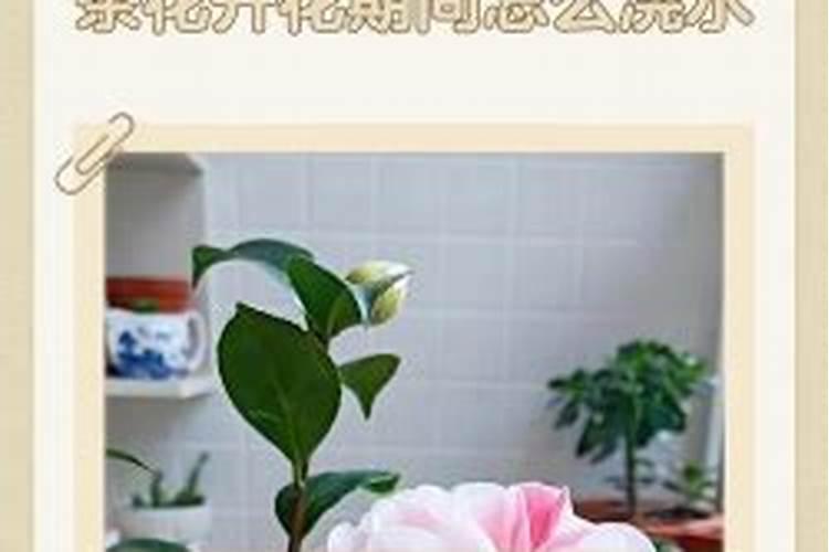 开春桃树可用尿素吗 开春桃树施肥多少合适