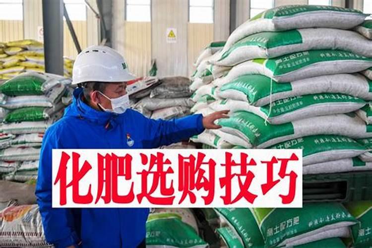 杨树什么时候施肥最好？