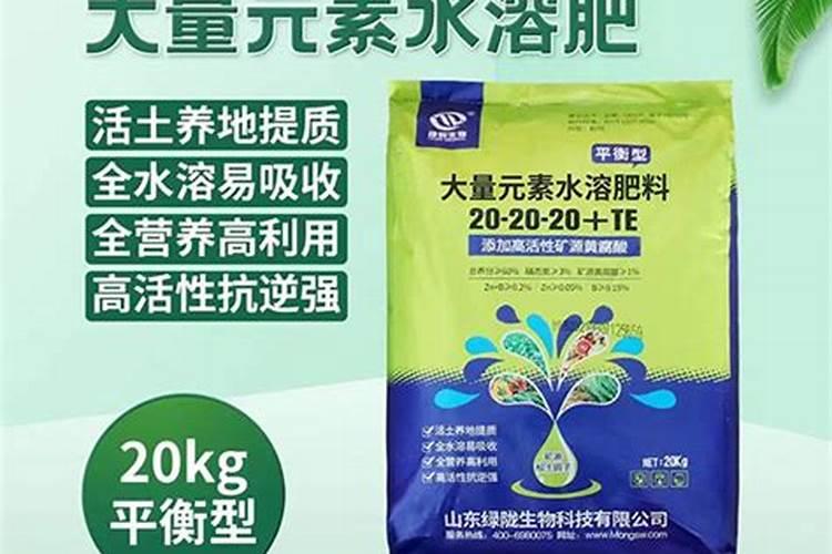 如何预防肥害的发生