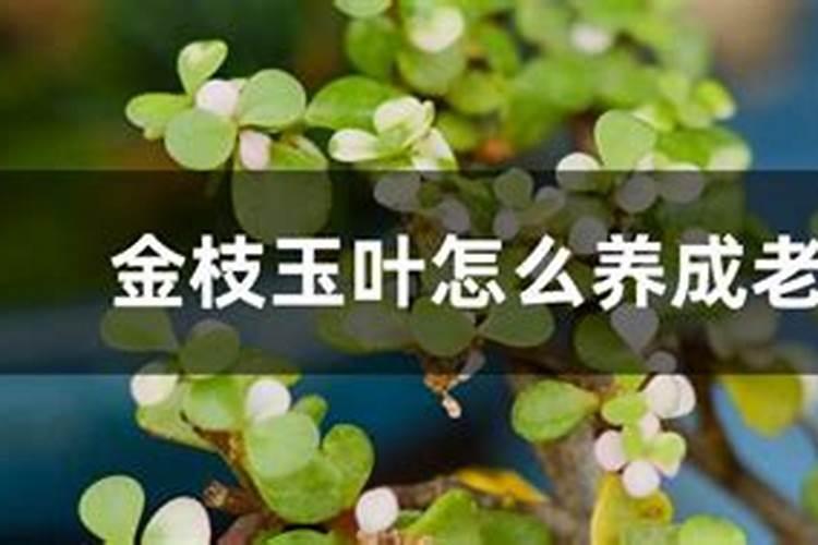 宝宝取名注意事项,如何根据生辰八字取名